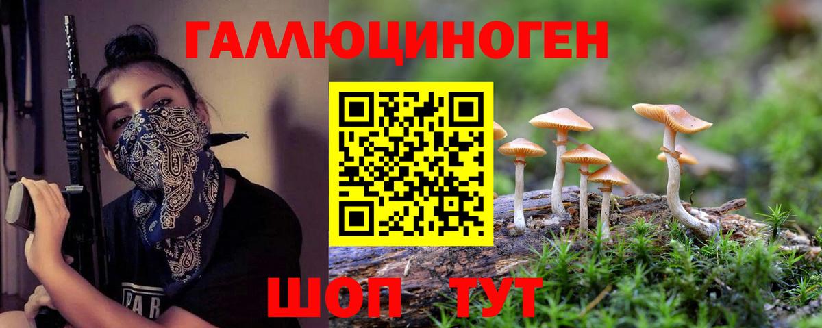 Галлюциногенные грибы MAGIC MUSHROOMS  Галлюциногенные грибы Cubensis  Грязи  Вход с VPN 