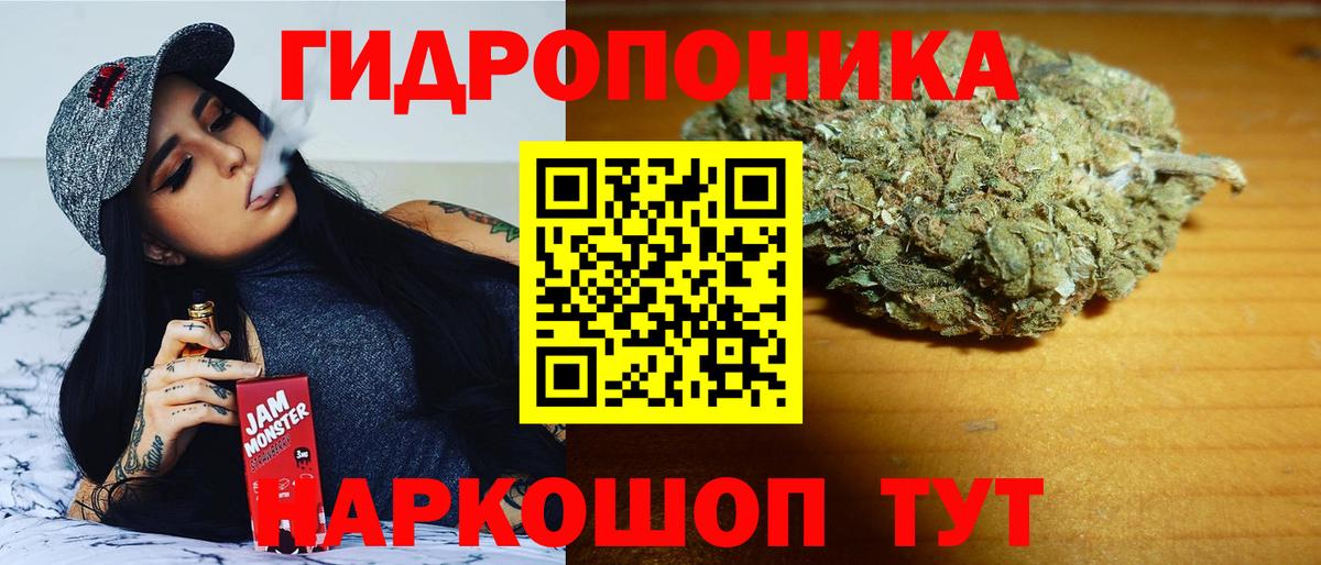 Шишки марихуана Bruce Banner Грязи